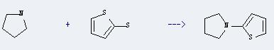 Pyrrolidine,1-(2-thienyl)- can be prepared by pyrrolidine and 3H-thiophene-2-thione